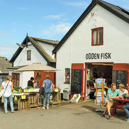 Three-bedroom In Sjallands Odde *